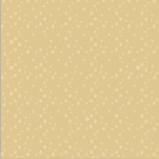 Heidi Grace Designs - earth dots 12x12 vellum  (pack of 5)